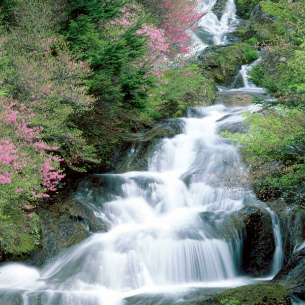 High Mineral Content Water in Japan
