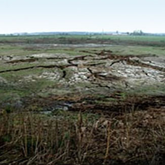Manure Lagoon