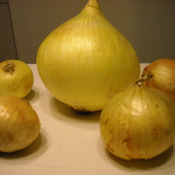 Onions